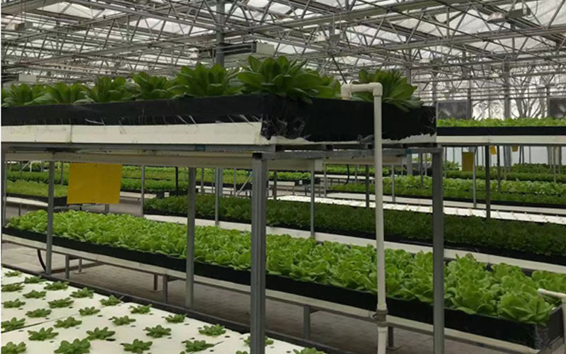 J9集团-国际站最新官网